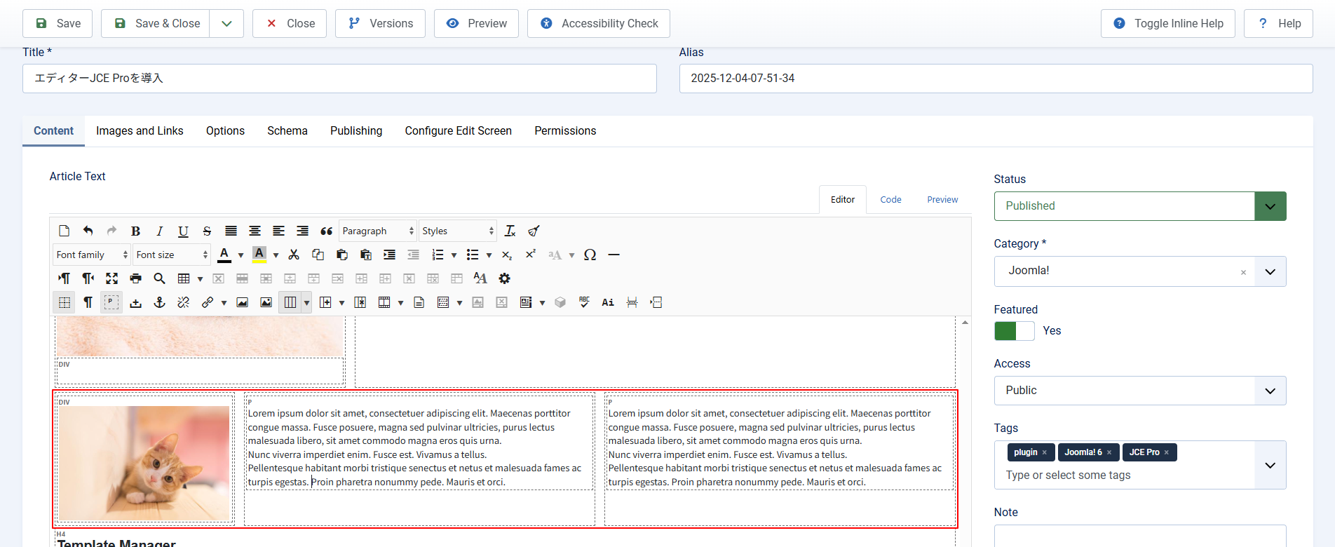 3列のサンプル 3列のサンプル