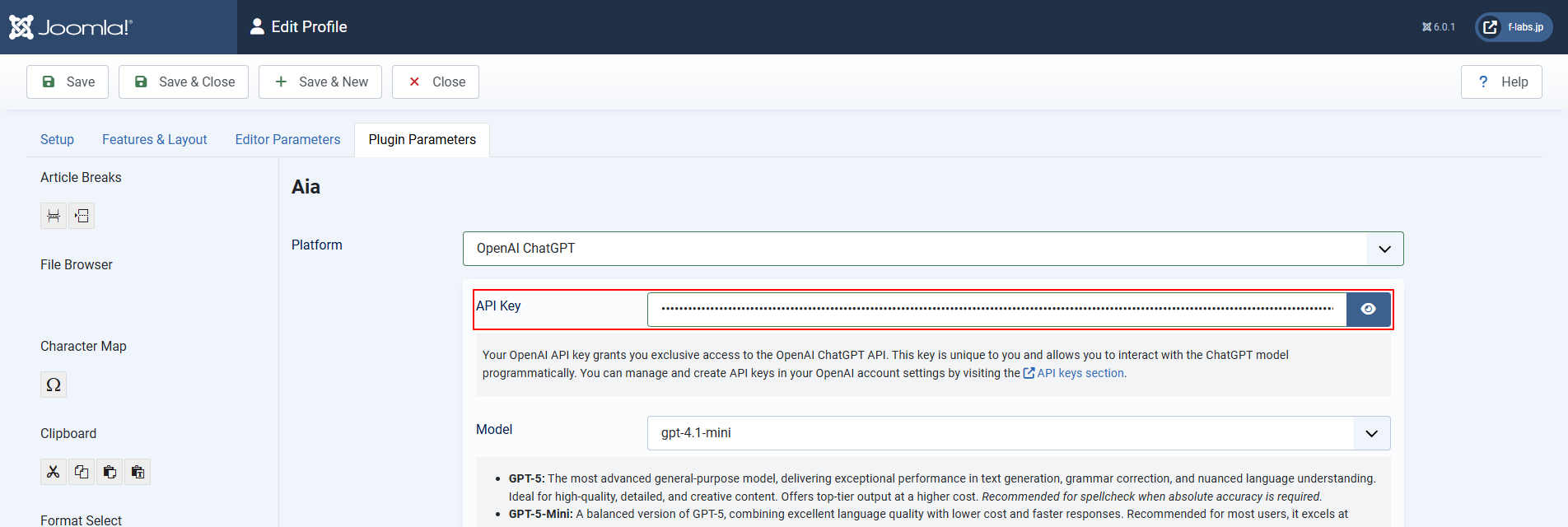 API Keyを貼付け API Keyを貼付け